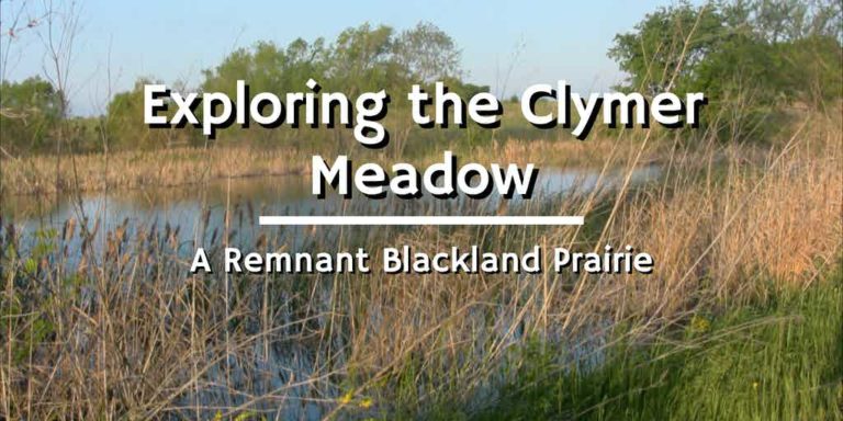 clymer meadow spring