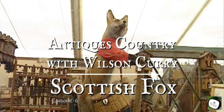 scottish fox