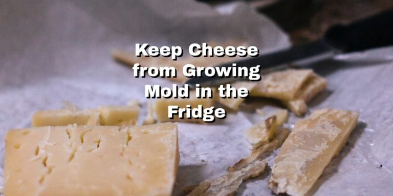 cheese and crackers