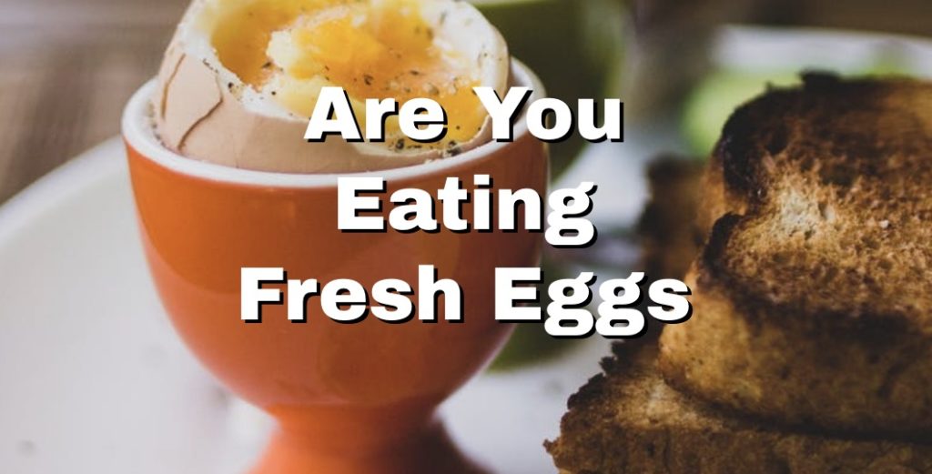 fresh eggs splash