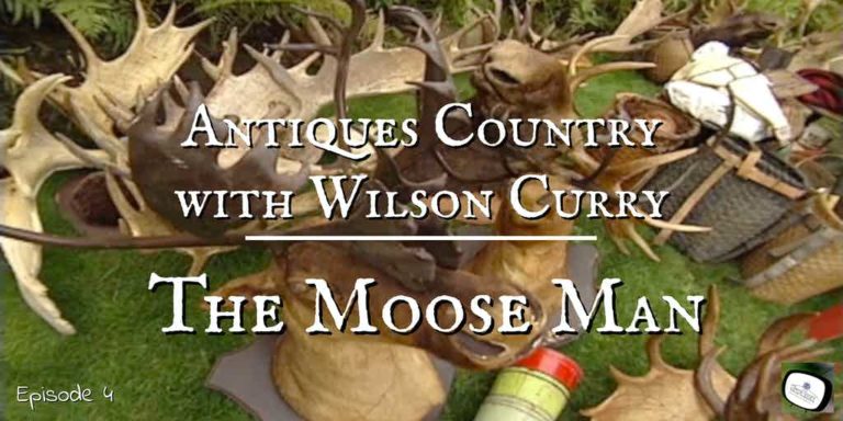 mounted moose heads
