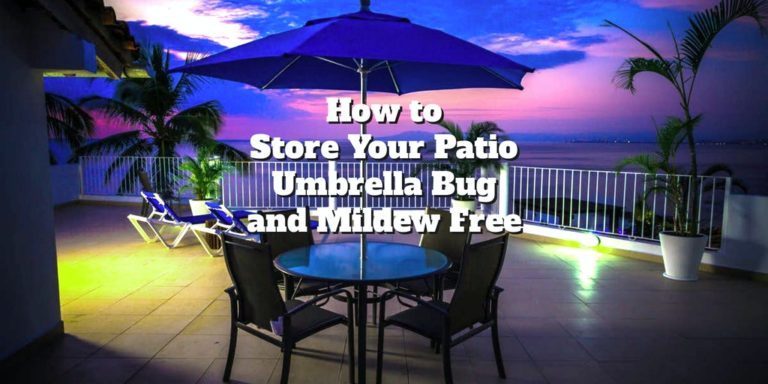 umbrella feature