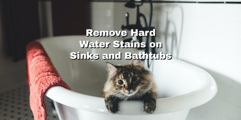 water stain cat