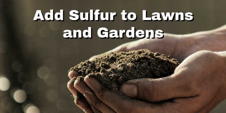 Adding sulphur to your soil