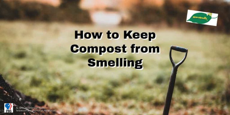 compost pile with fork