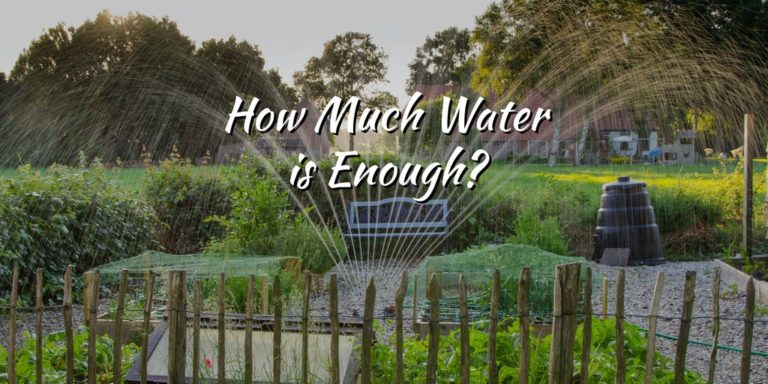 water sprinkler