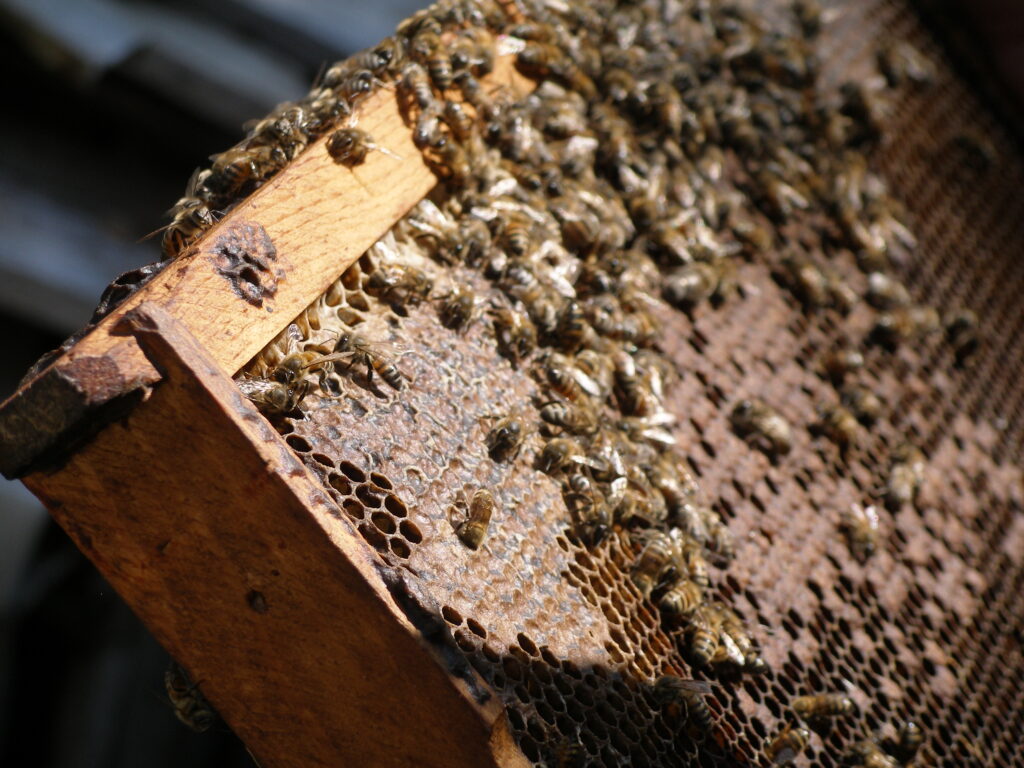 bee house frame