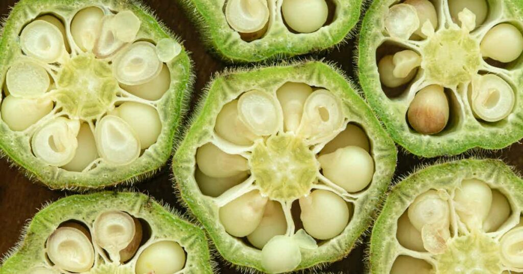 a cross grain cut of okra showing the interior of the pod