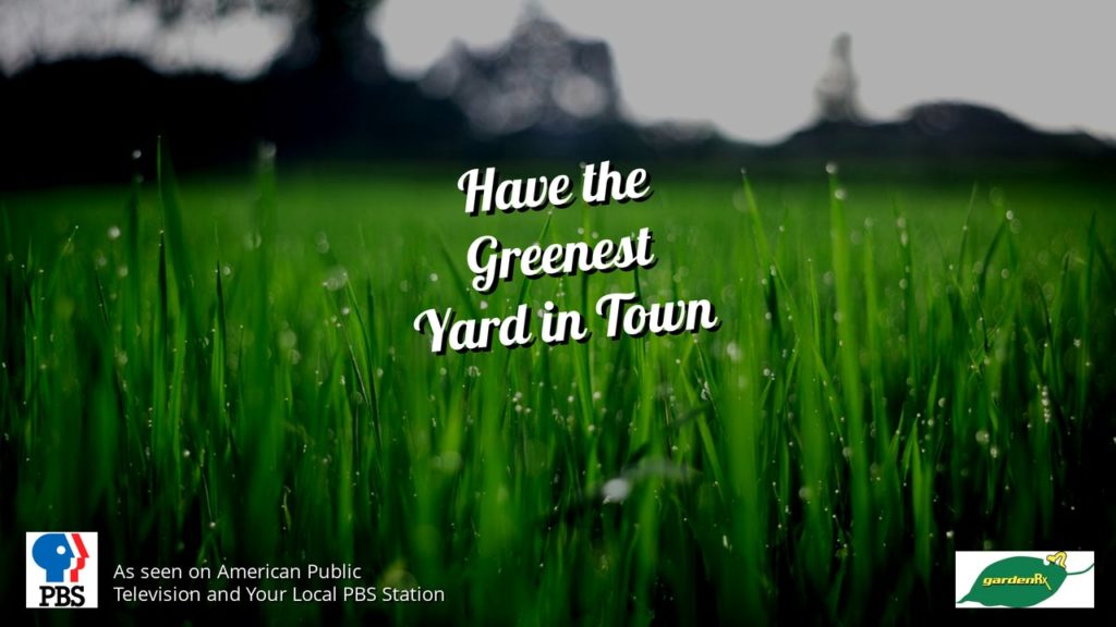 green lawn slick