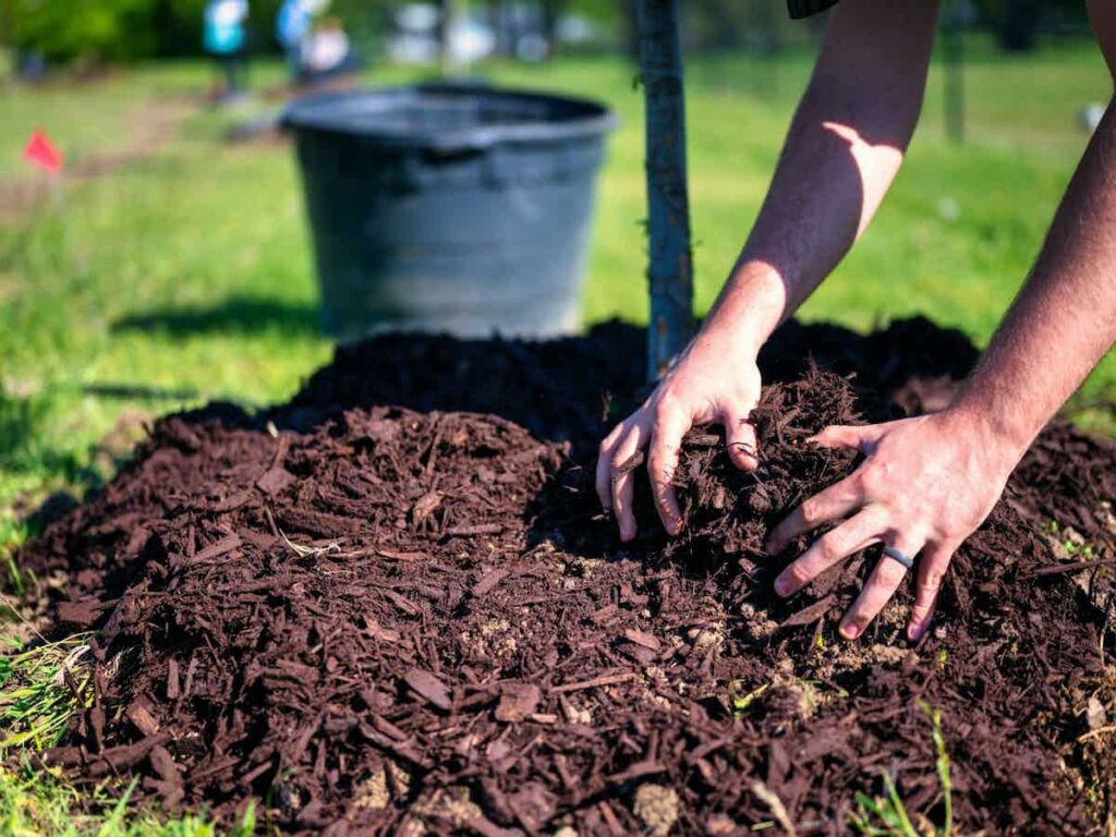 mulch for your garden