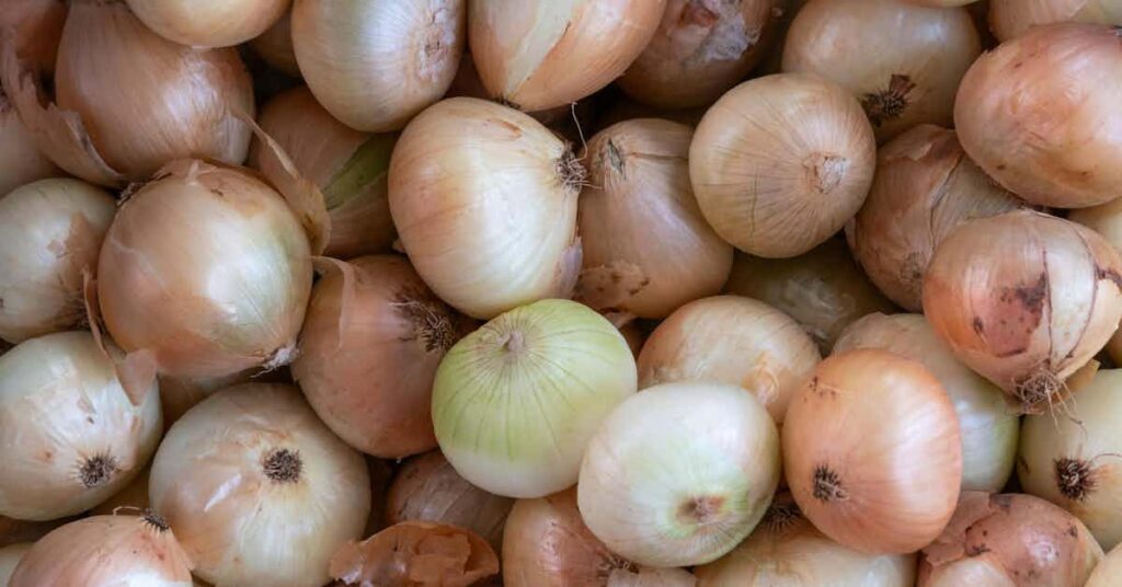 Many onions in a box