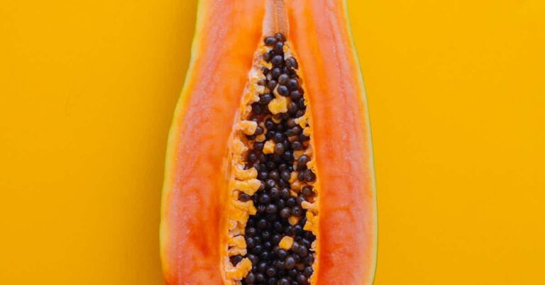 fruit flies