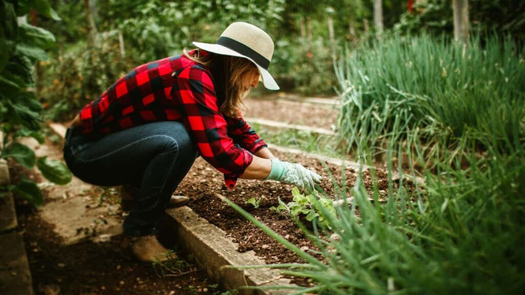 gardening