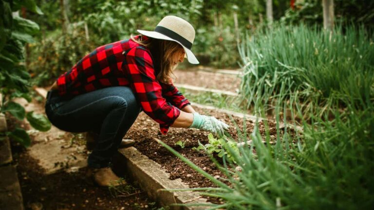 gardening