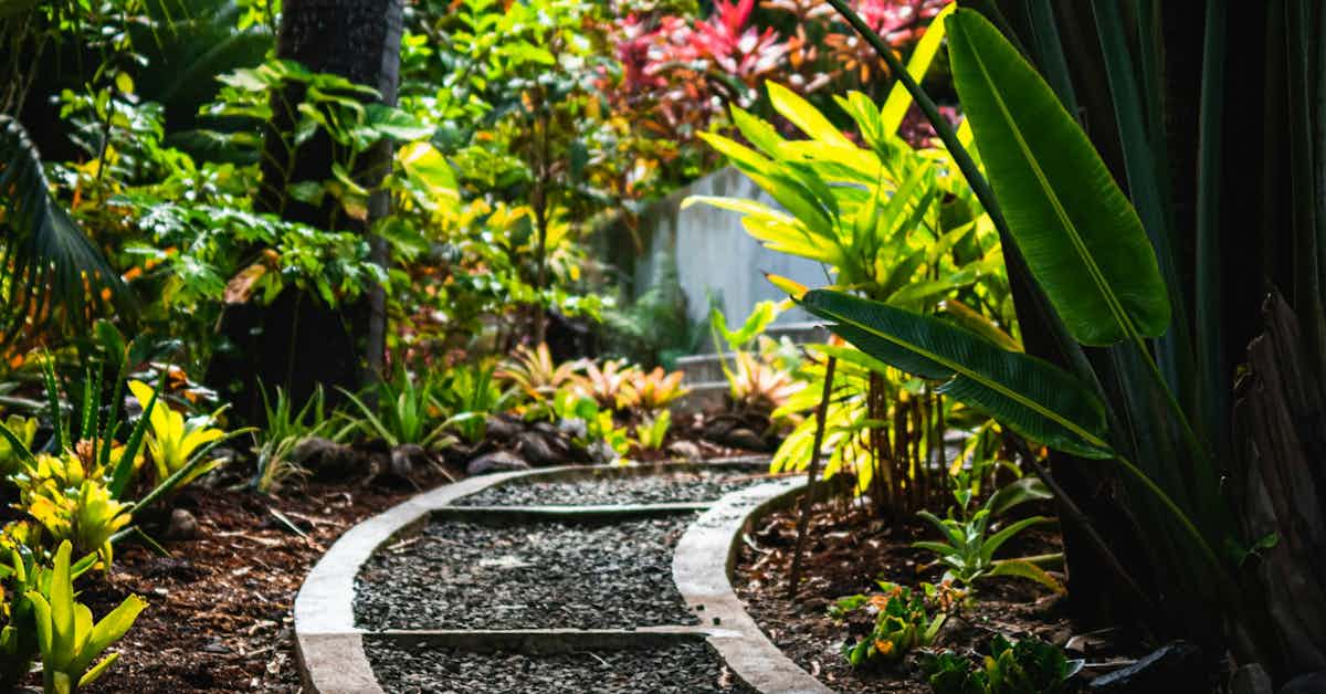 a curved garden path