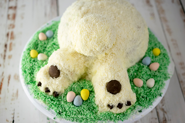 A Hoppy Easter Cake