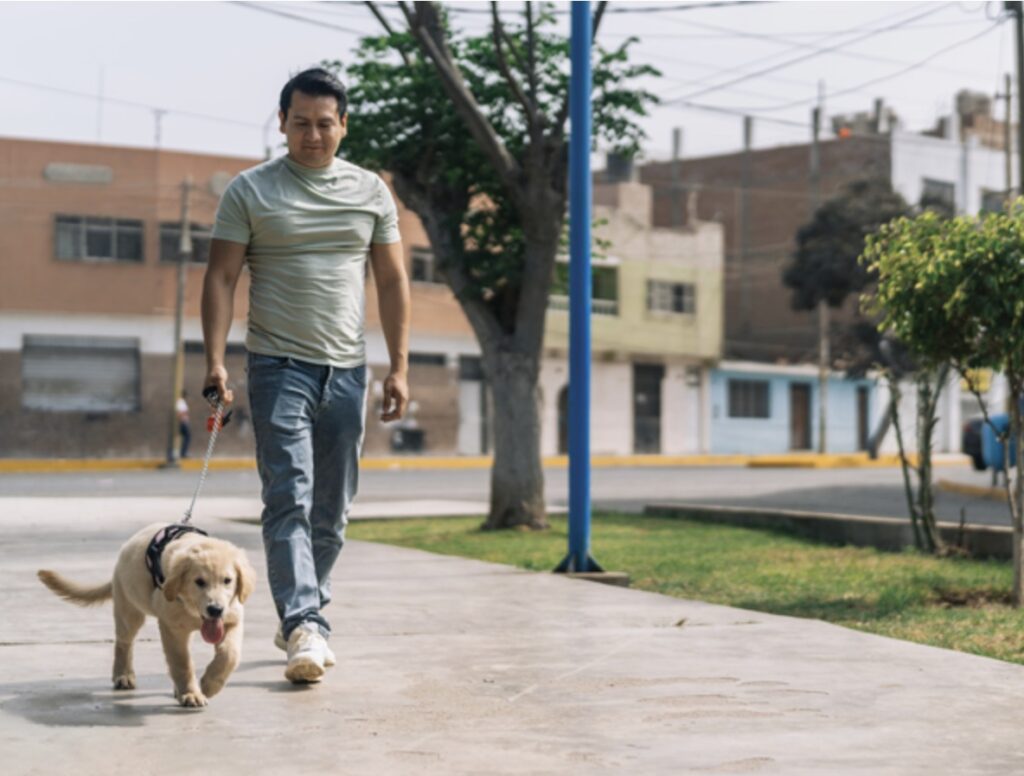 A man walks his dog