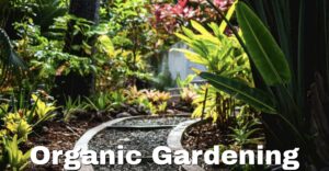 a lovely garden path