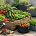 Beginner Guide to Container Gardening